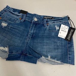 Blank NYC Shorts Women’s Size 28 Blue The Astor Cut off Raw Hem